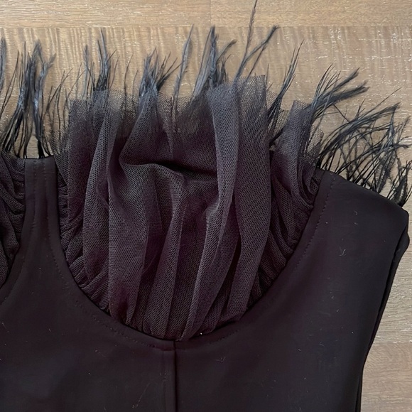 Eva Franco Strapless Tulle Corset Top Feathers Black NWT - Picture 8 of 16